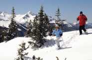 Telluride Nordic Center