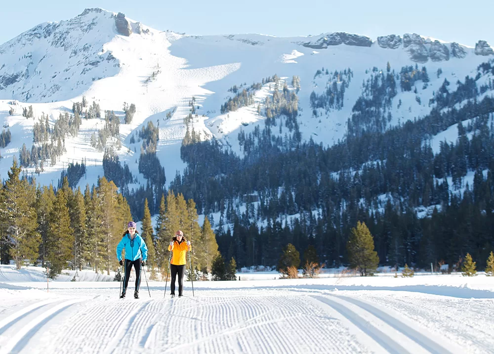 Cross Country and Snowshoe