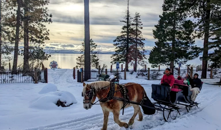 Borges Dinner Sleigh Ride