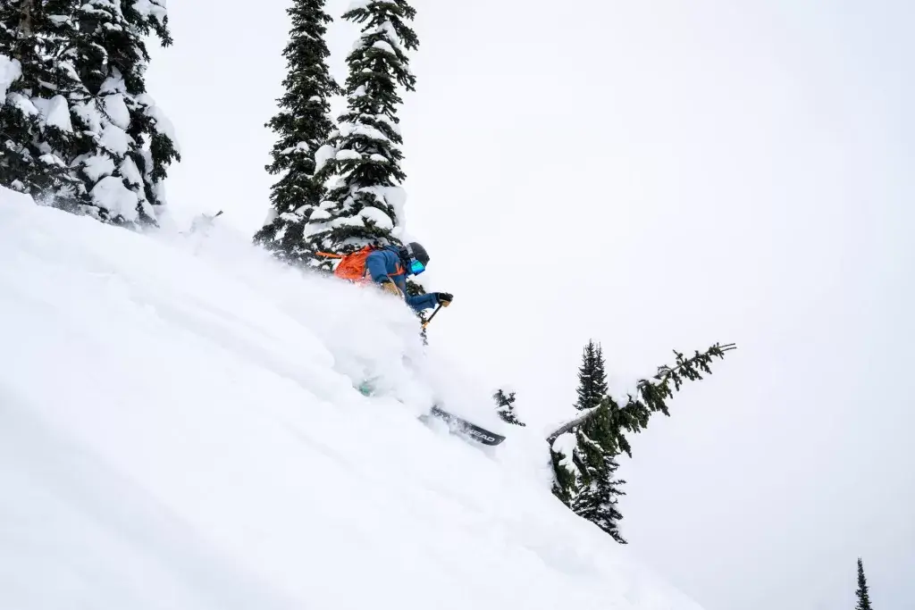 Snowcat Back-Country Skiing