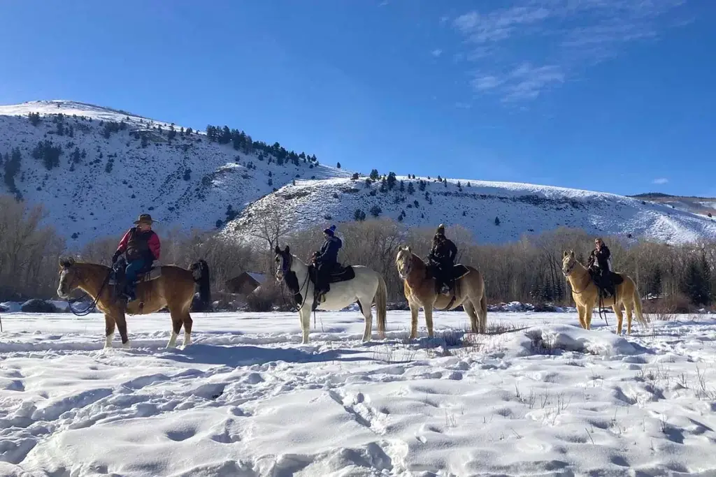 Winter Trail Rides