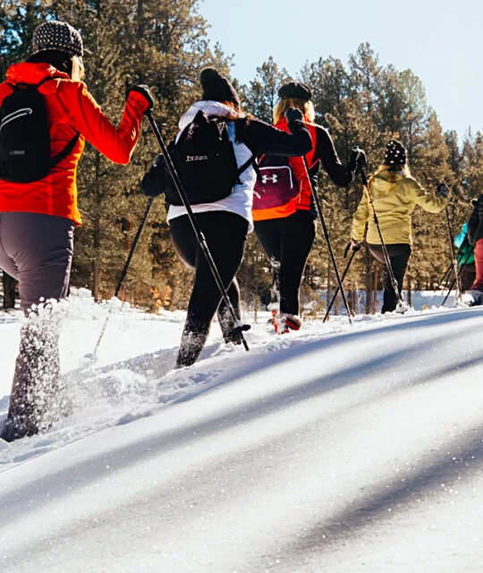 Snowshoe Tours