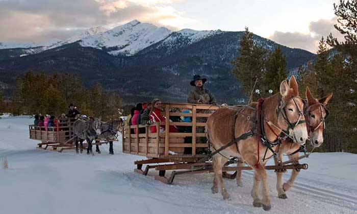 Sleigh Rides Copper Mountain