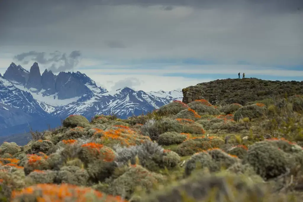 Tierra Patagonia