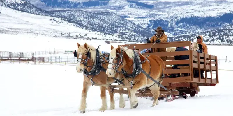 Sleigh Ride Dinner