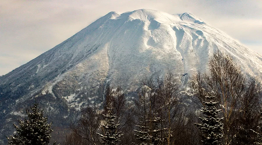 Niseko