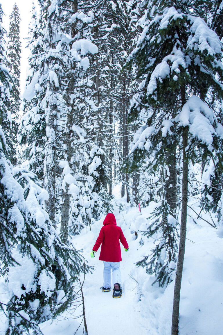 Sun Peaks Snowshoeing