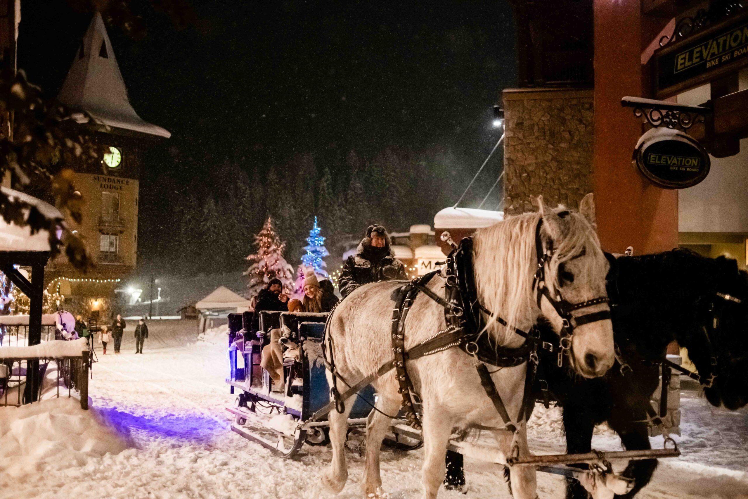 Sun Peaks Horse Drawn Sleigh Rides