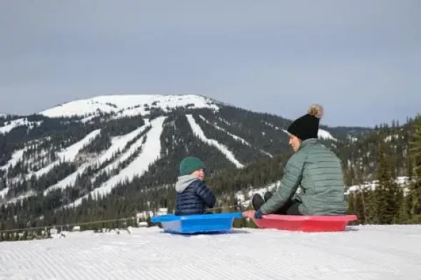 Toboggan Area